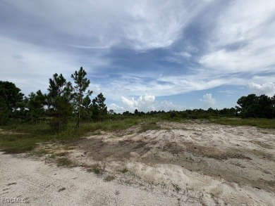 Lehigh Acres Area Lot For Sale in Lehigh Acres Florida