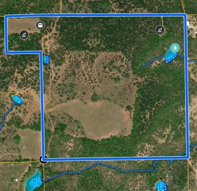 (private lake, pond, creek) Acreage For Sale in Bangs Texas