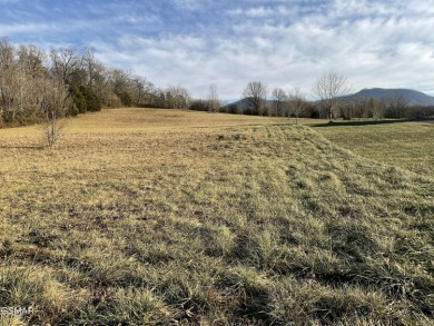 Douglas Lake Lot For Sale in Sevierville Tennessee
