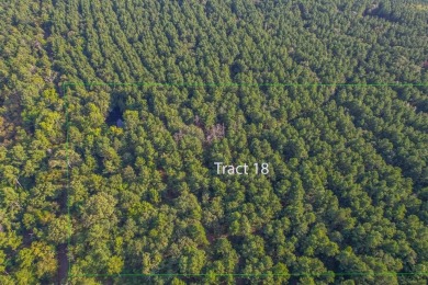 Lake Palestine Acreage For Sale in Frankston Texas