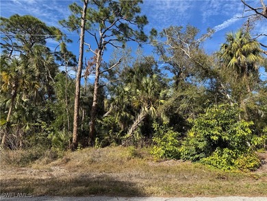 Port Charlotte Waterway Area Lot For Sale in Port Charlotte Florida