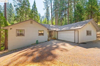 Pine Mountain Lake Home Sale Pending in Groveland California