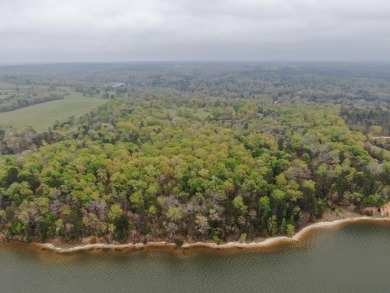 Lake Lot For Sale in Georgetown, Georgia