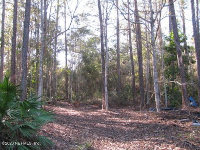 Lake Acreage Off Market in Crescent City, Florida