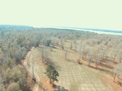 MAGNOLIA BLUFFS SUBDIVISION, LAKE EUFAULA. Located in Quitman - photo 2