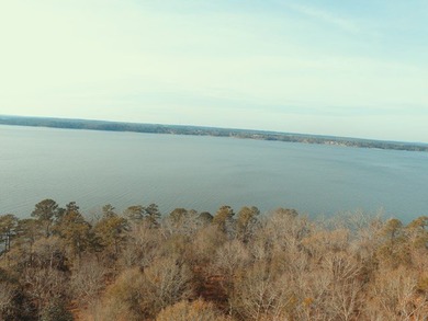 MAGNOLIA BLUFFS SUBDIVISION, LAKE EUFAULA. Located in Quitman - photo 3