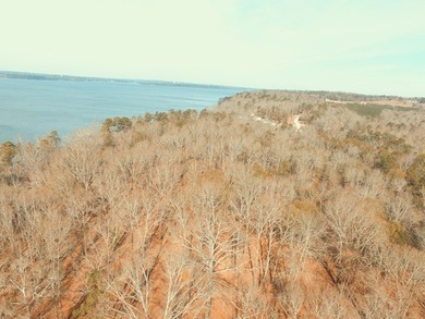 MAGNOLIA BLUFFS SUBDIVISION, LAKE EUFAULA. Located in Quitman - photo 4