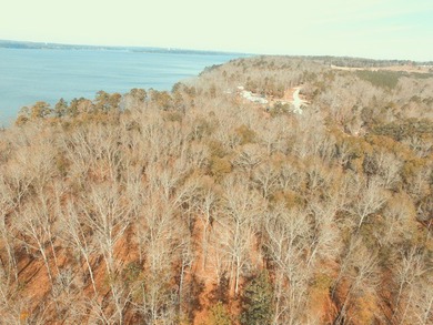 MAGNOLIA BLUFFS SUBDIVISION, LAKE EUFAULA. Located in Quitman - photo 5
