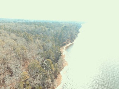 MAGNOLIA BLUFFS SUBDIVISION, LAKE EUFAULA. Located in Quitman - photo 6