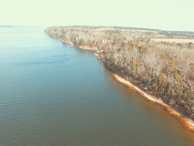 MAGNOLIA BLUFFS SUBDIVISION, LAKE EUFAULA. Located in Quitman - photo 7