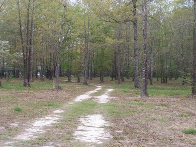 MAGNOLIA BLUFFS SUBDIVISION, LAKE EUFAULA. Located in Quitman - photo 8