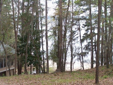 MAGNOLIA BLUFFS SUBDIVISION, LAKE EUFAULA. Located in Quitman - photo 9