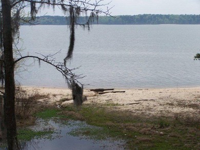 MAGNOLIA BLUFFS SUBDIVISION, LAKE EUFAULA. Located in Quitman - photo 10