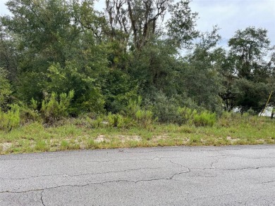 Lake Lot For Sale in Dunnellon, Florida