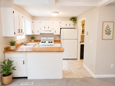 Welcome home to this bright, sunny, and beautifully updated - photo 9