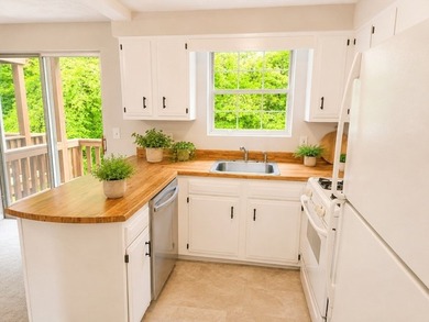 Welcome home to this bright, sunny, and beautifully updated - photo 10