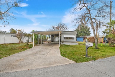 Lake Dora Home Sale Pending in Tavares Florida