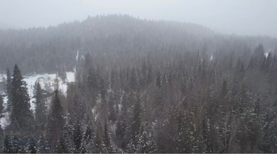 (private lake, pond, creek) Acreage For Sale in  Montana