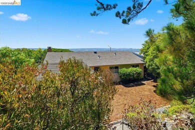 Perched peacefully above it all, this Mid-Century modern home - photo 38