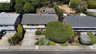 Perched peacefully above it all, this Mid-Century modern home - photo 39