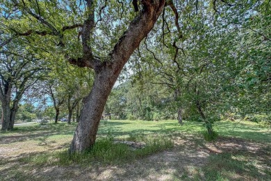 Lake Lot For Sale in Gun Barrel City, Texas