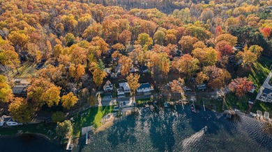 Big Pine Island Lake Home For Sale in Belding Michigan