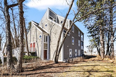 Lake Michigan - Berrien County Condo For Sale in New Buffalo Michigan