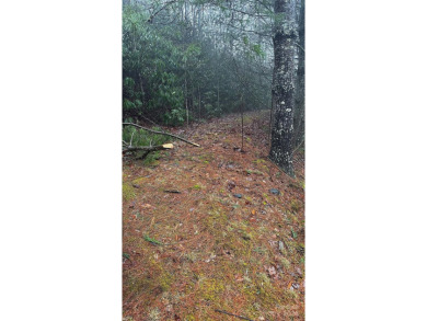 Echo Lake Lot For Sale in Fairview North Carolina