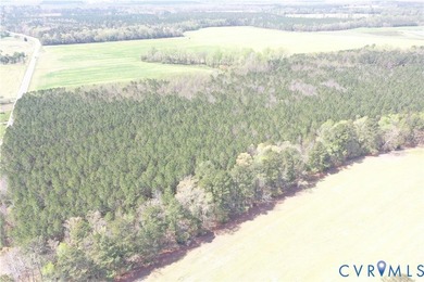 This beautiful 20-acre tract offers the perfect blend of privacy - photo 3