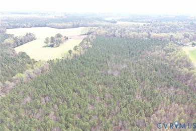 This beautiful 20-acre tract offers the perfect blend of privacy - photo 5