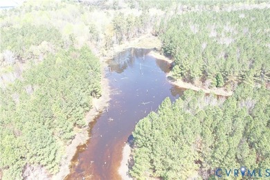 This beautiful 20-acre tract offers the perfect blend of privacy - photo 6