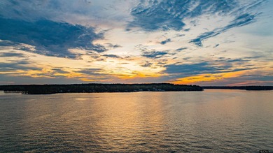 PREMIER WATERFRONT ESTATE ON BEAUTIFUL LAKE CYPRESS SPRINGS - photo 7