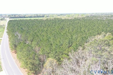 This beautiful 20-acre tract offers the perfect blend of privacy - photo 7