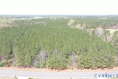 This beautiful 20-acre tract offers the perfect blend of privacy - photo 9