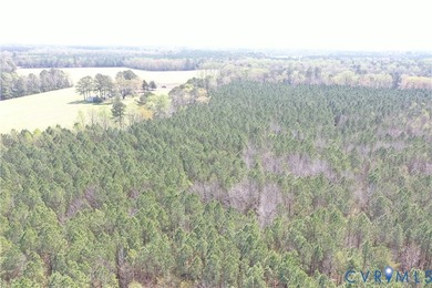 This beautiful 20-acre tract offers the perfect blend of privacy - photo 10