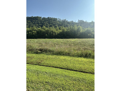 French Broad River Lot For Sale in Del Rio Tennessee