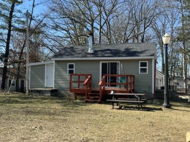 Lake Home For Sale in Chippewa Lake, Michigan