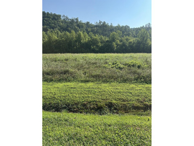 French Broad River Lot For Sale in Del Rio Tennessee