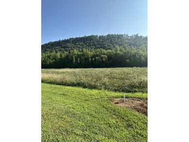 French Broad River Lot For Sale in Del Rio Tennessee