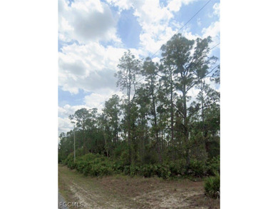 Lehigh Acres Area Lot For Sale in Lehigh Acres Florida