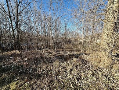 Lake Lot For Sale in Faribault, Minnesota