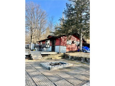 Lake Home For Sale in South Haven, Minnesota