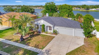 Lake St. Clair Home For Sale in Apollo Beach Florida