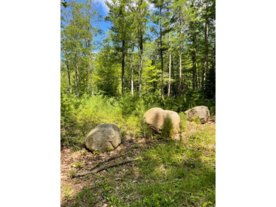 Coon Lake Acreage For Sale in Rhinelander Wisconsin