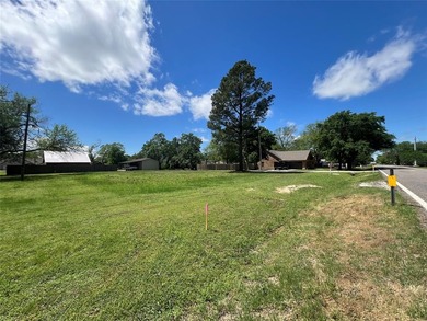 Lake Ray Roberts Lot For Sale in Tioga Texas