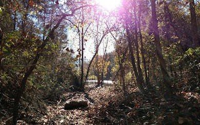 Lake Acreage For Sale in Galena, Missouri