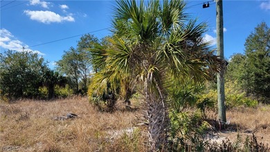 Lehigh Acres Area Lot For Sale in Lehigh Acres Florida