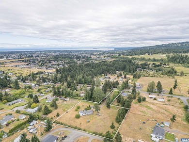 Nestled in the heart of the Olympic Peninsula, this unique 3 - photo 41