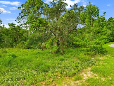 If you have been waiting for a great lot to come available in - photo 10