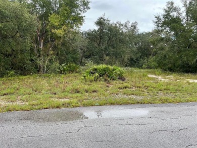Lake Lot For Sale in Dunnellon, Florida